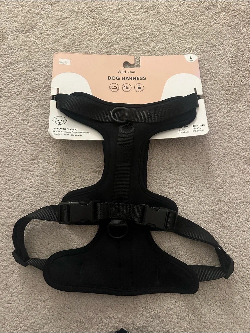 Dog Harness Wild One in Black size Large